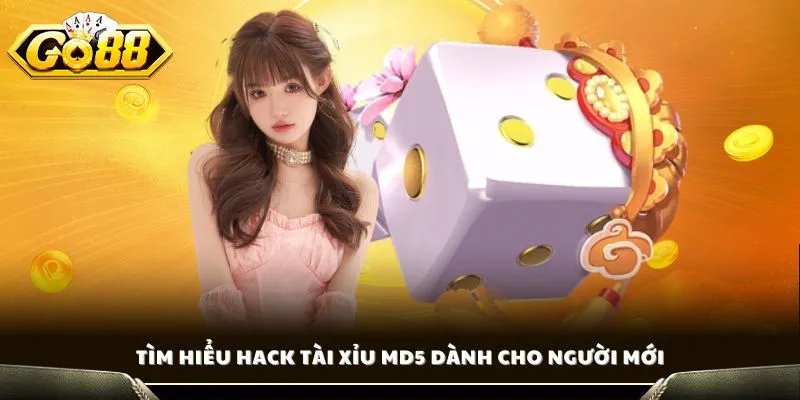 Hack Tài Xỉu MD5 - Giải Mã Thuật Toán Chuẩn Xác Mới 2 Tìm hiểu hack tài xỉu MD5 dành cho người mới
